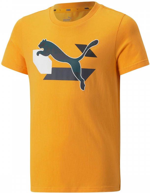 Puma T shirt met korte mouwen Alpha graphic