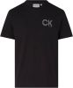 Calvin Klein T shirt STRIPED CHEST LOGO T SHIRT(1 delig ) online kopen