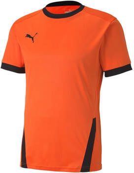 Puma T shirt Maillot Team Goal 23