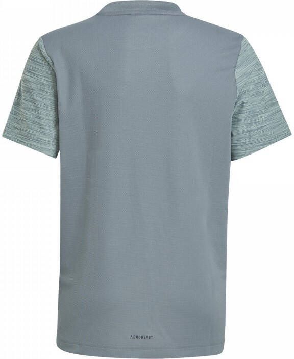 adidas Performance sport T-shirt grijsblauw/wit