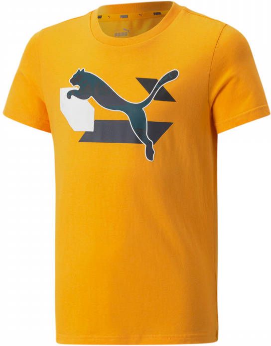 Puma T shirt kid alpha graphic tee 670101.39